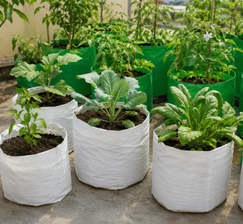 Grow Bags