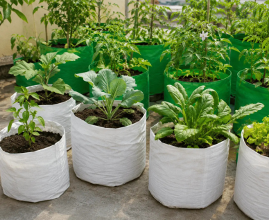 Grow Bags