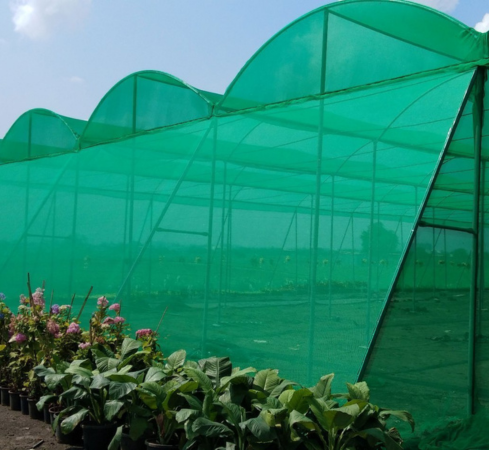 Shade Net