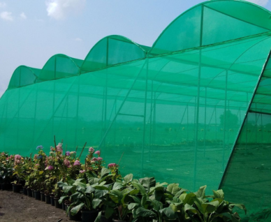 Shade Net