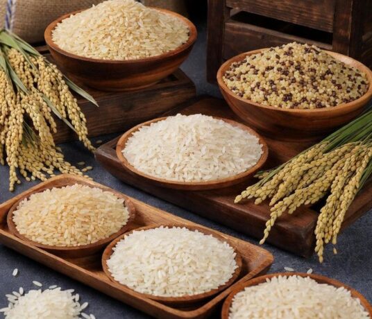Rice grains being sorted and graded for export