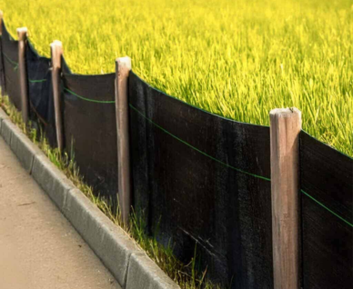 Silt Fencing