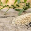 Sesame Seed: Types, Benefits, Uses, and Where to Buy Sesame Seeds
