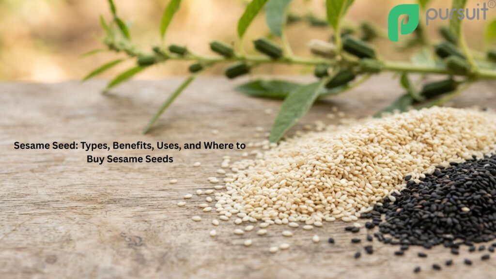 Sesame Seed: Types, Benefits, Uses, and Where to Buy Sesame Seeds