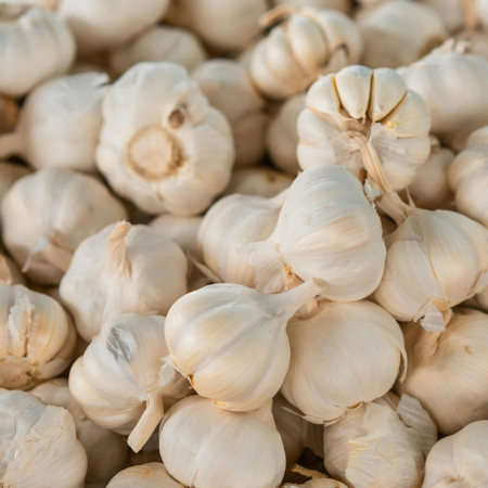 Untitled design - 2026-01-08T103820.604