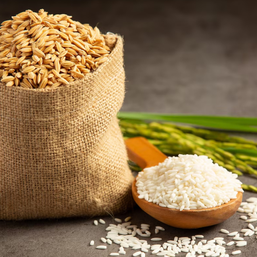 Untitled design (51)