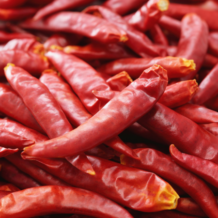 Untitled design (57)