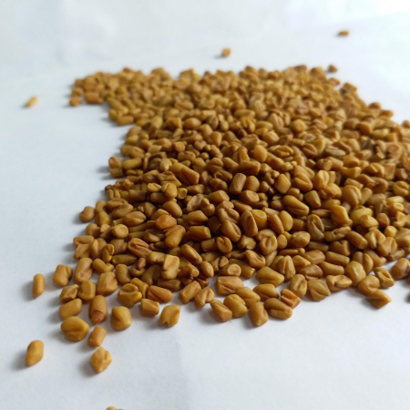 Untitled design (63)