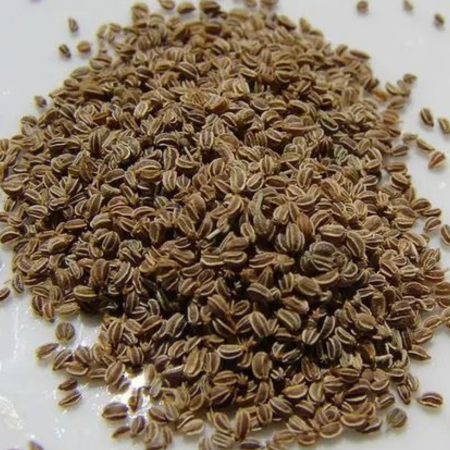 Untitled design (67)