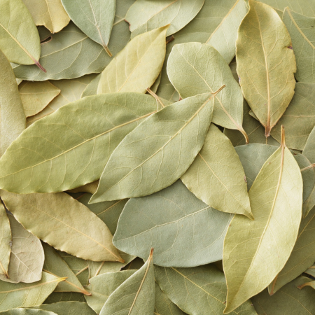 Untitled design (70)