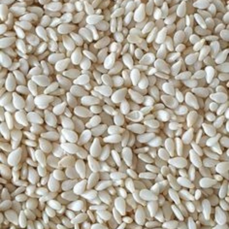 Untitled design (80)