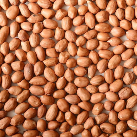 Untitled design (81)