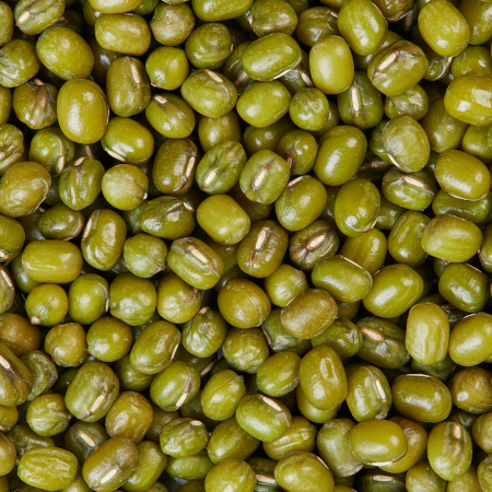 Untitled design (84)