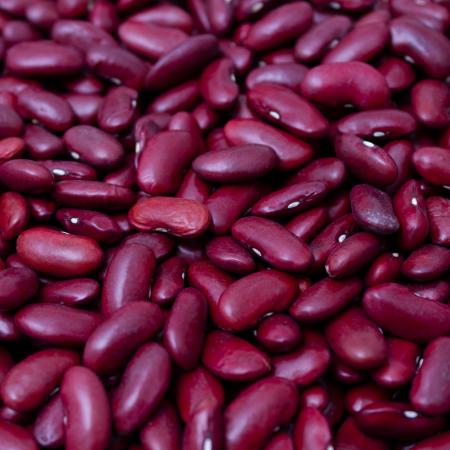 Untitled design (85)