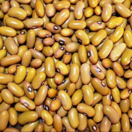 Untitled design (86)