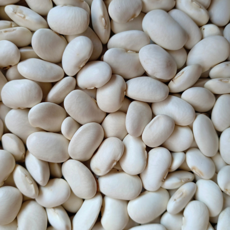 Untitled design (87)