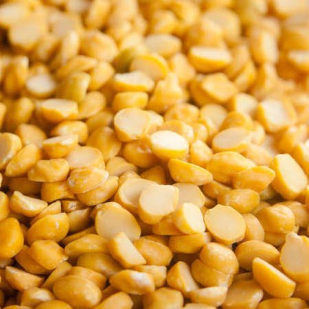 Untitled design (89)