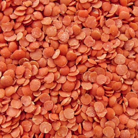 Untitled design (92)