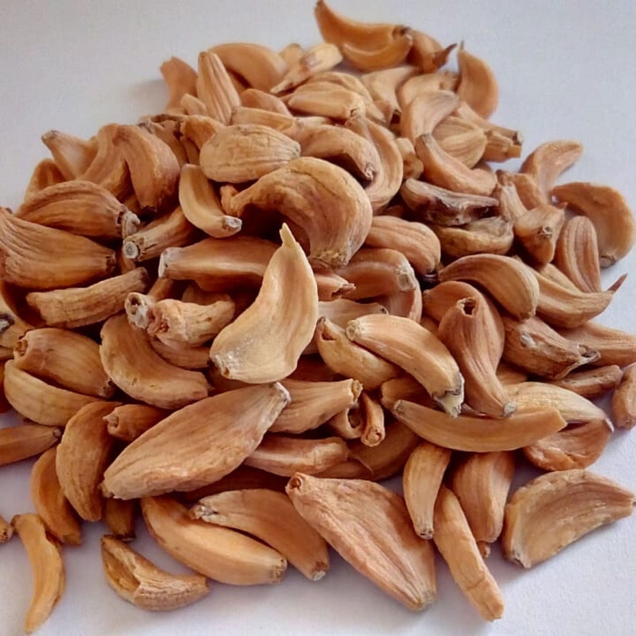 imgi_73_6325a96ec70b6d1c4a29ad048d05998a